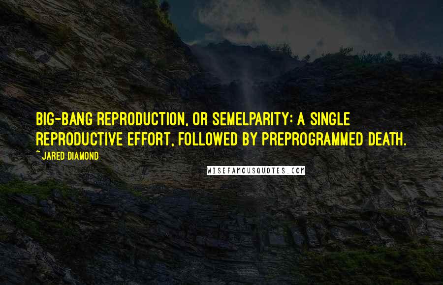 Jared Diamond Quotes: big-bang reproduction, or semelparity: a single reproductive effort, followed by preprogrammed death.