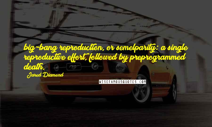 Jared Diamond Quotes: big-bang reproduction, or semelparity: a single reproductive effort, followed by preprogrammed death.