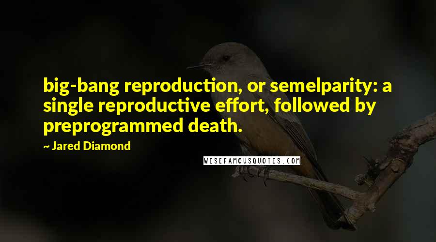 Jared Diamond Quotes: big-bang reproduction, or semelparity: a single reproductive effort, followed by preprogrammed death.