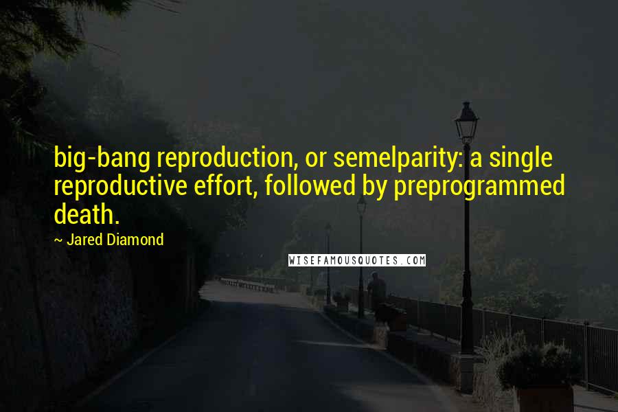 Jared Diamond Quotes: big-bang reproduction, or semelparity: a single reproductive effort, followed by preprogrammed death.