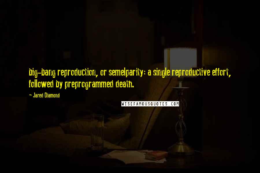 Jared Diamond Quotes: big-bang reproduction, or semelparity: a single reproductive effort, followed by preprogrammed death.