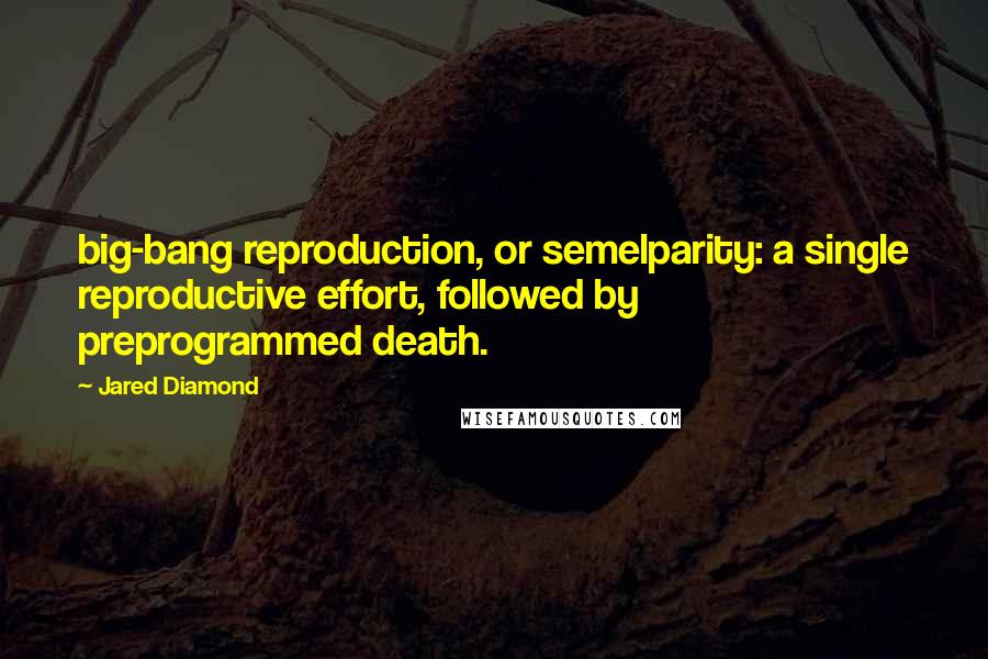 Jared Diamond Quotes: big-bang reproduction, or semelparity: a single reproductive effort, followed by preprogrammed death.