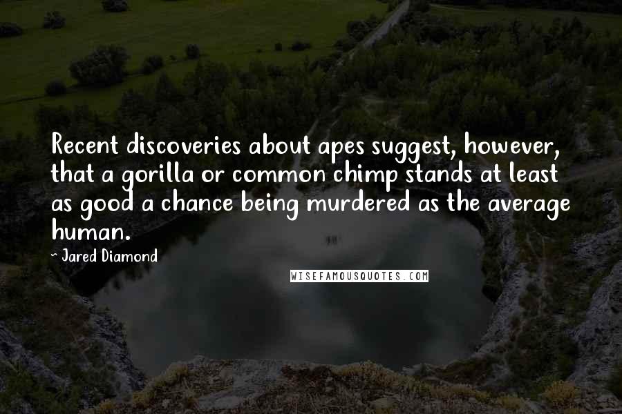 Jared Diamond Quotes: Recent discoveries about apes suggest, however, that a gorilla or common chimp stands at least as good a chance being murdered as the average human.