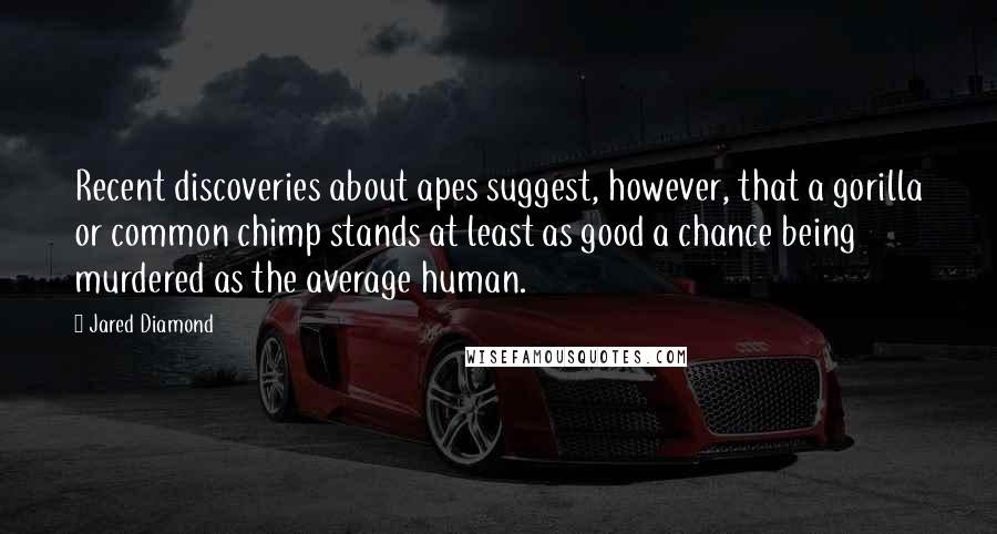 Jared Diamond Quotes: Recent discoveries about apes suggest, however, that a gorilla or common chimp stands at least as good a chance being murdered as the average human.