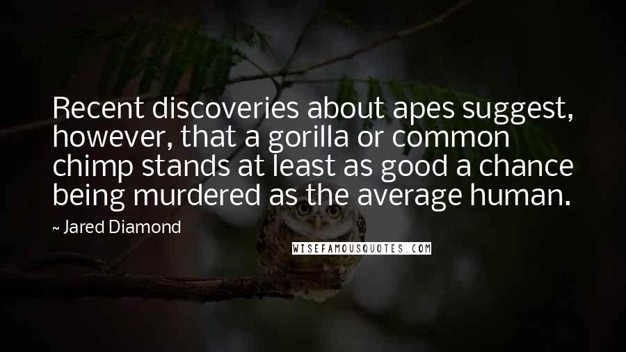 Jared Diamond Quotes: Recent discoveries about apes suggest, however, that a gorilla or common chimp stands at least as good a chance being murdered as the average human.