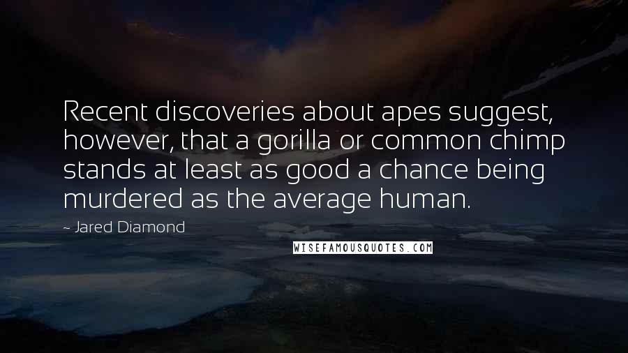 Jared Diamond Quotes: Recent discoveries about apes suggest, however, that a gorilla or common chimp stands at least as good a chance being murdered as the average human.