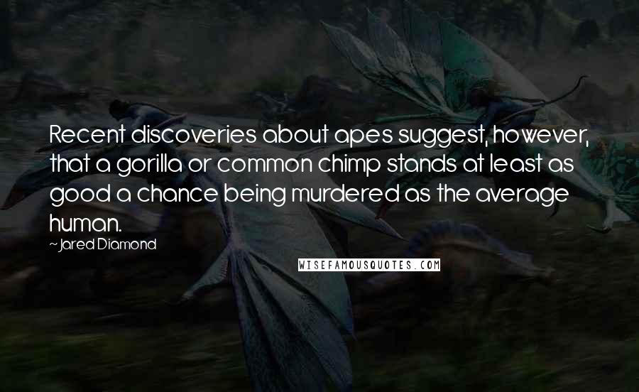 Jared Diamond Quotes: Recent discoveries about apes suggest, however, that a gorilla or common chimp stands at least as good a chance being murdered as the average human.