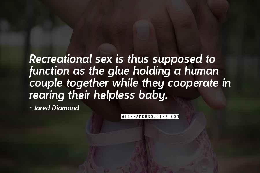 Jared Diamond Quotes: Recreational sex is thus supposed to function as the glue holding a human couple together while they cooperate in rearing their helpless baby.