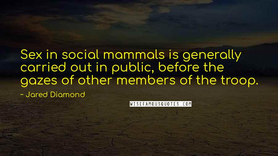 Jared Diamond Quotes: Sex in social mammals is generally carried out in public, before the gazes of other members of the troop.