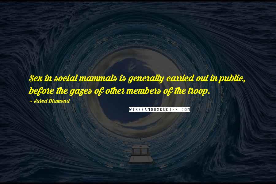 Jared Diamond Quotes: Sex in social mammals is generally carried out in public, before the gazes of other members of the troop.