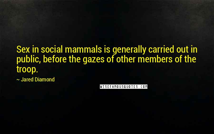 Jared Diamond Quotes: Sex in social mammals is generally carried out in public, before the gazes of other members of the troop.