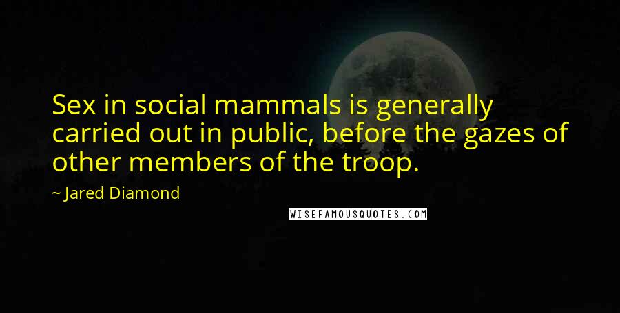 Jared Diamond Quotes: Sex in social mammals is generally carried out in public, before the gazes of other members of the troop.