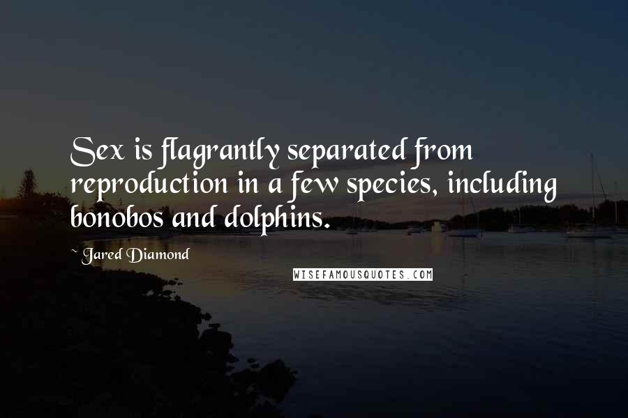 Jared Diamond Quotes: Sex is flagrantly separated from reproduction in a few species, including bonobos and dolphins.