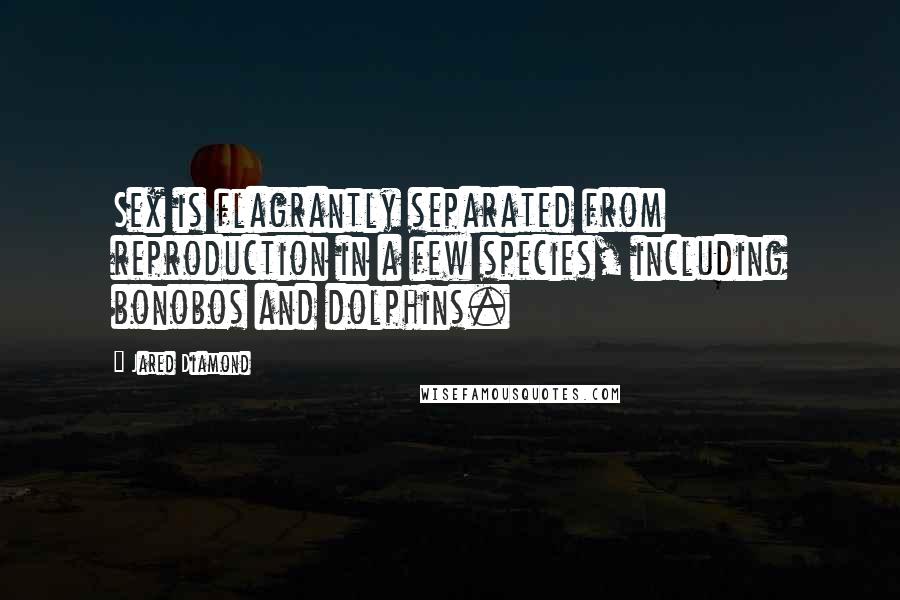 Jared Diamond Quotes: Sex is flagrantly separated from reproduction in a few species, including bonobos and dolphins.
