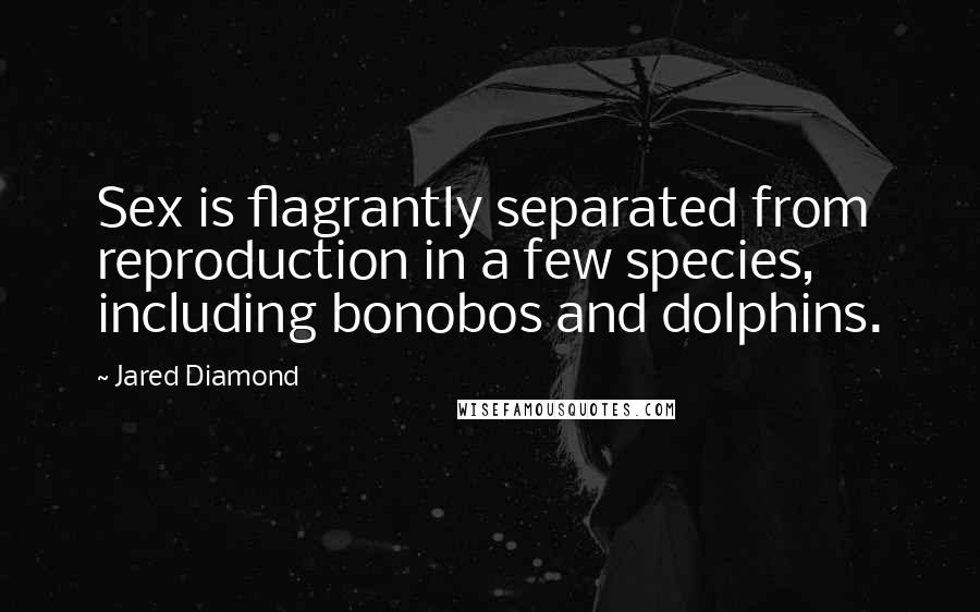 Jared Diamond Quotes: Sex is flagrantly separated from reproduction in a few species, including bonobos and dolphins.