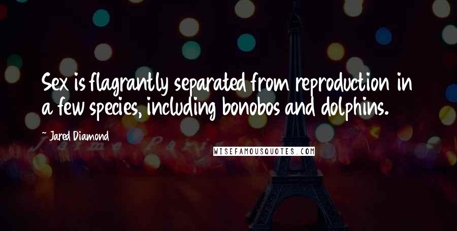 Jared Diamond Quotes: Sex is flagrantly separated from reproduction in a few species, including bonobos and dolphins.