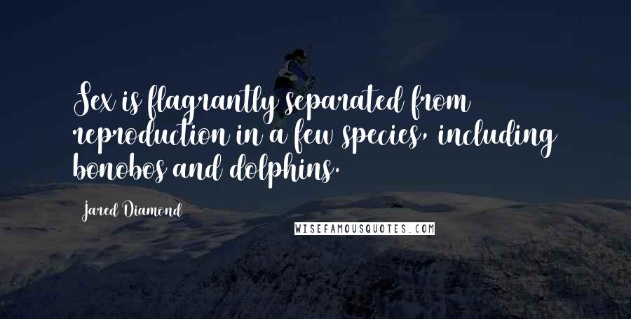 Jared Diamond Quotes: Sex is flagrantly separated from reproduction in a few species, including bonobos and dolphins.