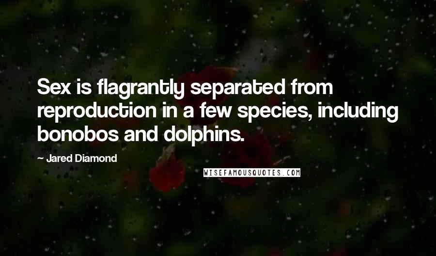 Jared Diamond Quotes: Sex is flagrantly separated from reproduction in a few species, including bonobos and dolphins.