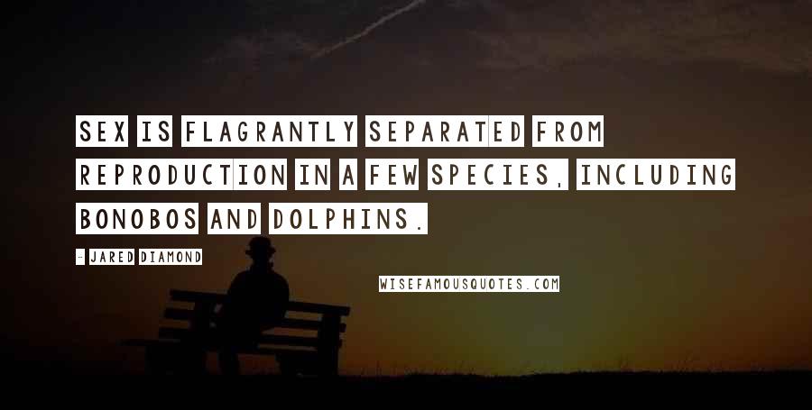 Jared Diamond Quotes: Sex is flagrantly separated from reproduction in a few species, including bonobos and dolphins.