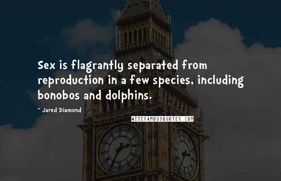 Jared Diamond Quotes: Sex is flagrantly separated from reproduction in a few species, including bonobos and dolphins.