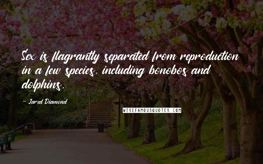 Jared Diamond Quotes: Sex is flagrantly separated from reproduction in a few species, including bonobos and dolphins.