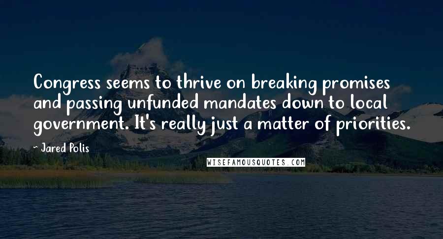 Jared Polis Quotes: Congress seems to thrive on breaking promises and passing unfunded mandates down to local government. It's really just a matter of priorities.