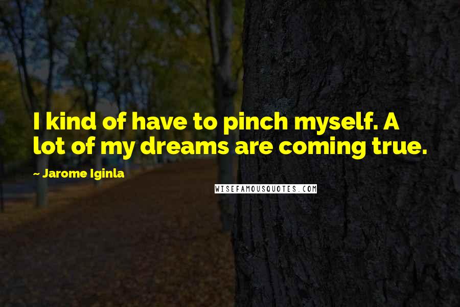 Jarome Iginla Quotes: I kind of have to pinch myself. A lot of my dreams are coming true.