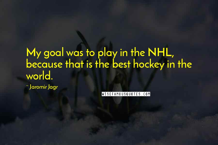 Jaromir Jagr Quotes: My goal was to play in the NHL, because that is the best hockey in the world.