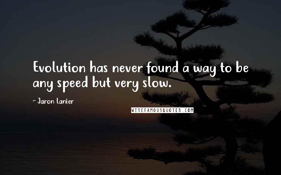 Jaron Lanier Quotes: Evolution has never found a way to be any speed but very slow.