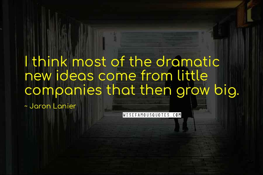 Jaron Lanier Quotes: I think most of the dramatic new ideas come from little companies that then grow big.