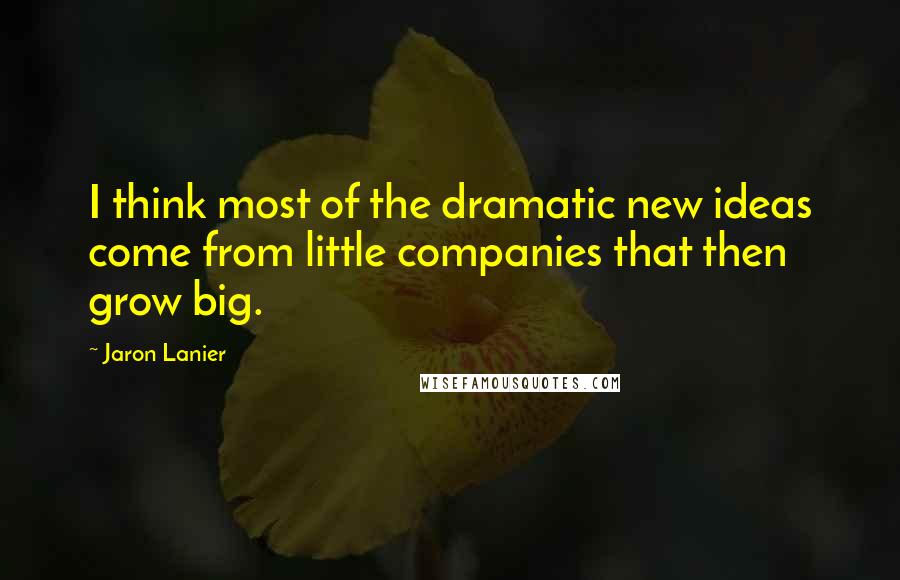 Jaron Lanier Quotes: I think most of the dramatic new ideas come from little companies that then grow big.