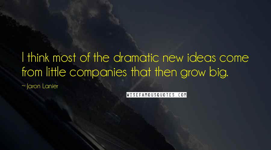 Jaron Lanier Quotes: I think most of the dramatic new ideas come from little companies that then grow big.