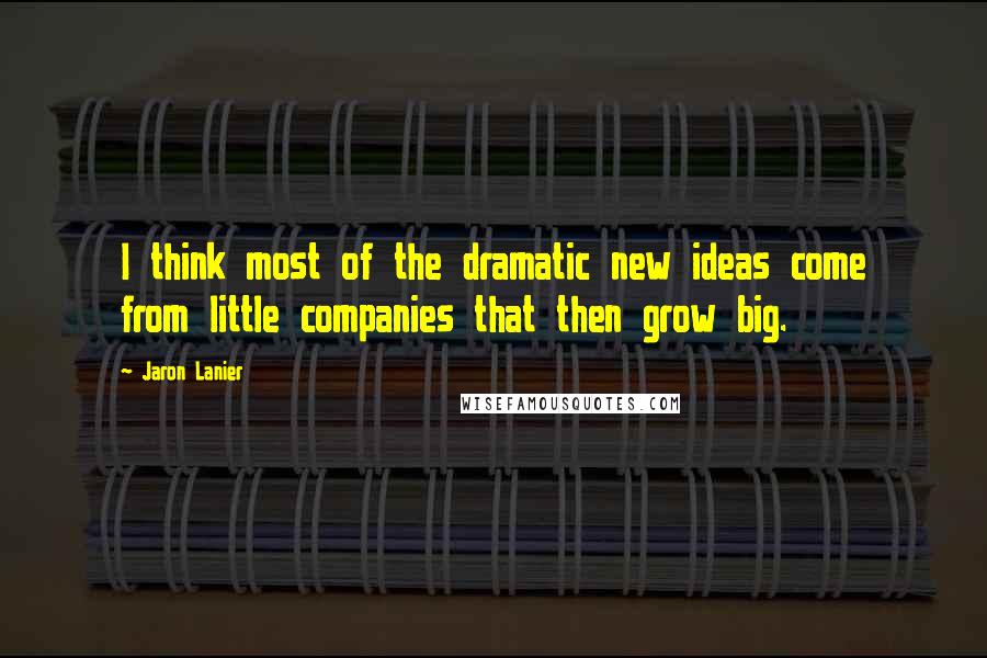 Jaron Lanier Quotes: I think most of the dramatic new ideas come from little companies that then grow big.