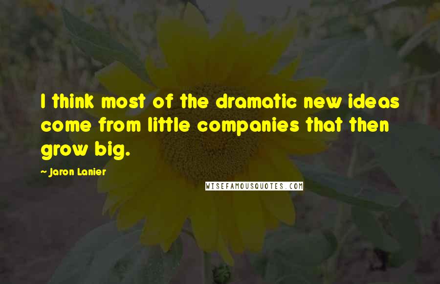 Jaron Lanier Quotes: I think most of the dramatic new ideas come from little companies that then grow big.