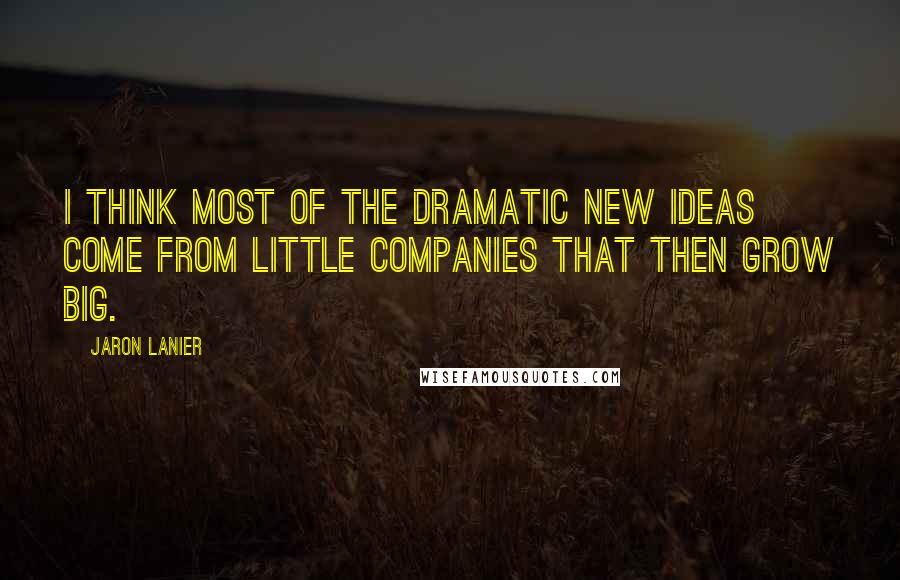 Jaron Lanier Quotes: I think most of the dramatic new ideas come from little companies that then grow big.