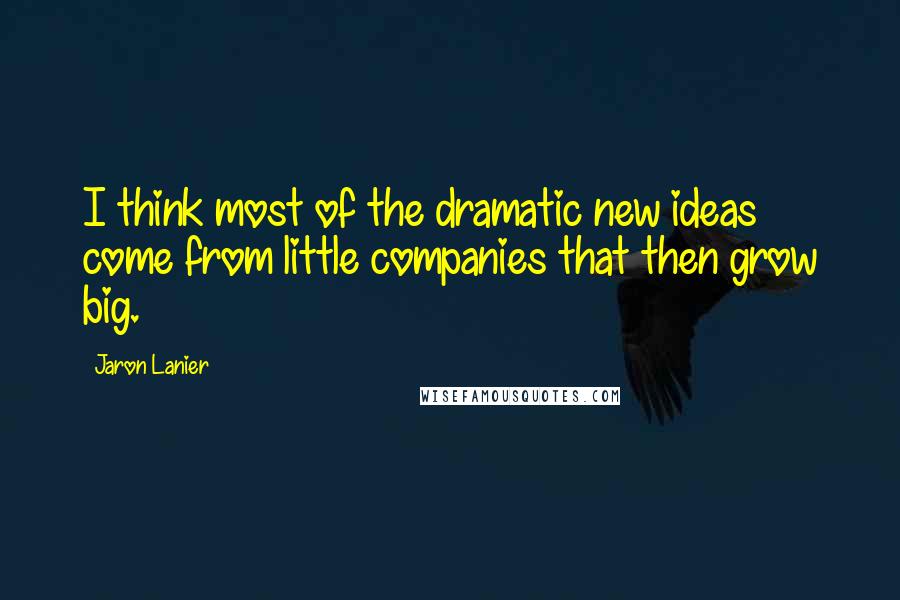 Jaron Lanier Quotes: I think most of the dramatic new ideas come from little companies that then grow big.