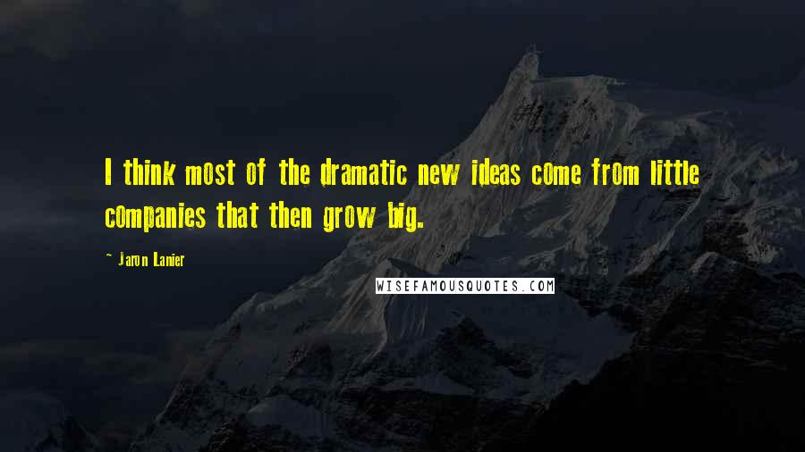 Jaron Lanier Quotes: I think most of the dramatic new ideas come from little companies that then grow big.