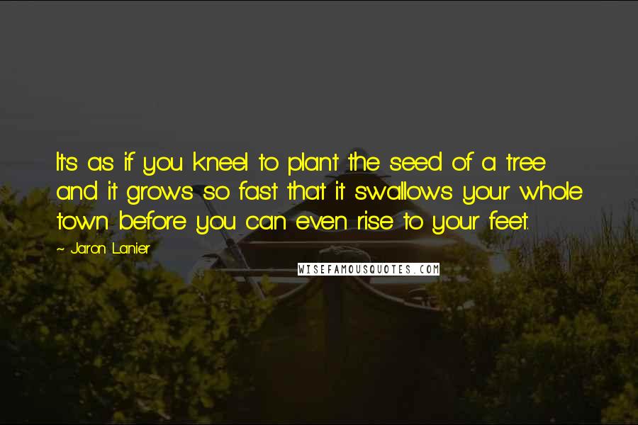 Jaron Lanier Quotes: It's as if you kneel to plant the seed of a tree and it grows so fast that it swallows your whole town before you can even rise to your feet.