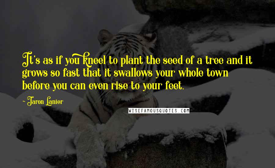 Jaron Lanier Quotes: It's as if you kneel to plant the seed of a tree and it grows so fast that it swallows your whole town before you can even rise to your feet.