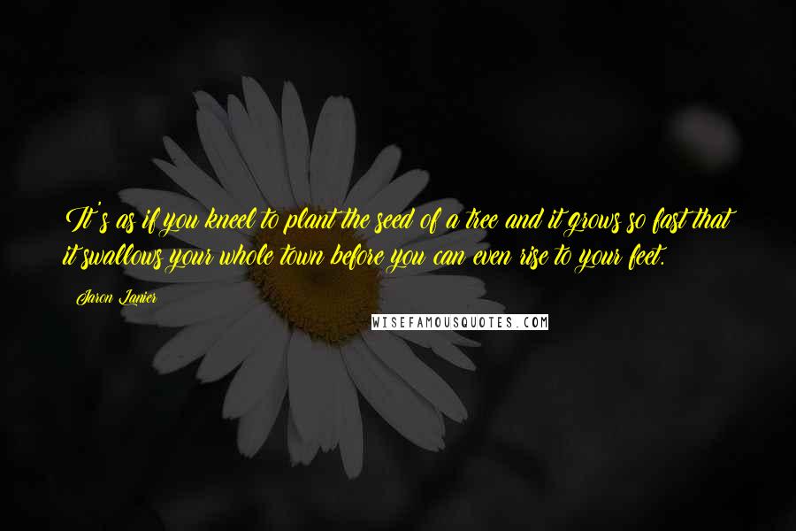 Jaron Lanier Quotes: It's as if you kneel to plant the seed of a tree and it grows so fast that it swallows your whole town before you can even rise to your feet.