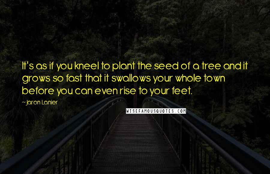 Jaron Lanier Quotes: It's as if you kneel to plant the seed of a tree and it grows so fast that it swallows your whole town before you can even rise to your feet.