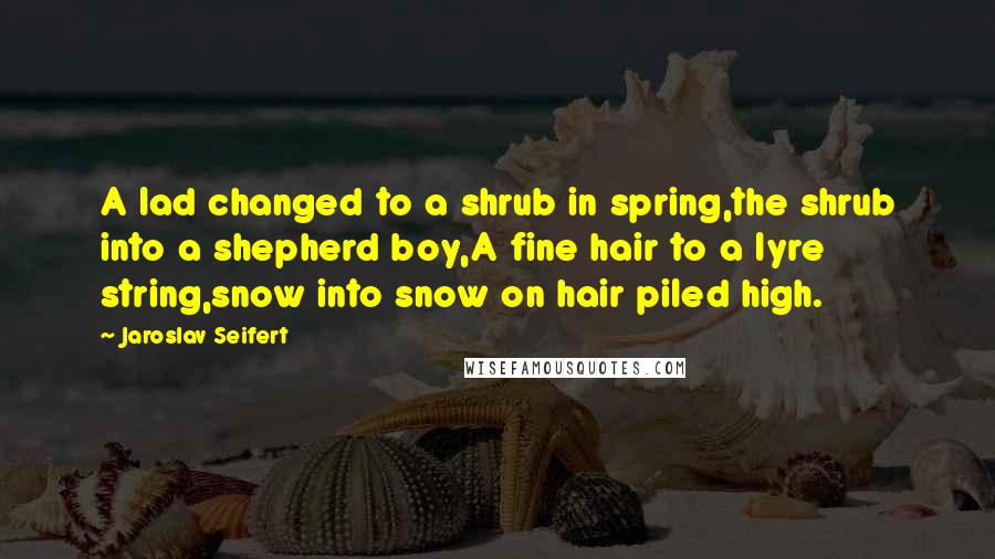 Jaroslav Seifert Quotes: A lad changed to a shrub in spring,the shrub into a shepherd boy,A fine hair to a lyre string,snow into snow on hair piled high.