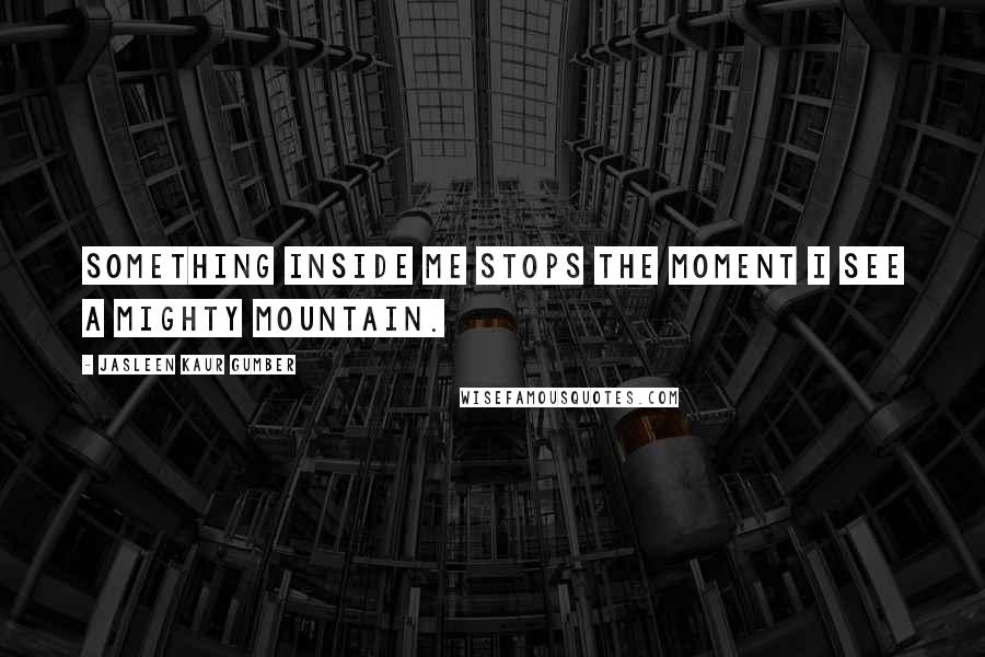 Jasleen Kaur Gumber Quotes: Something inside me stops the moment I see a mighty mountain.