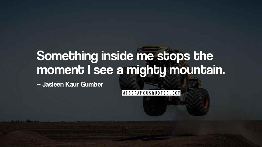 Jasleen Kaur Gumber Quotes: Something inside me stops the moment I see a mighty mountain.