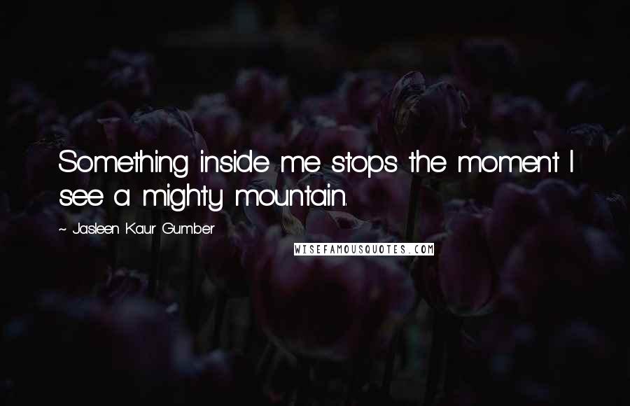 Jasleen Kaur Gumber Quotes: Something inside me stops the moment I see a mighty mountain.