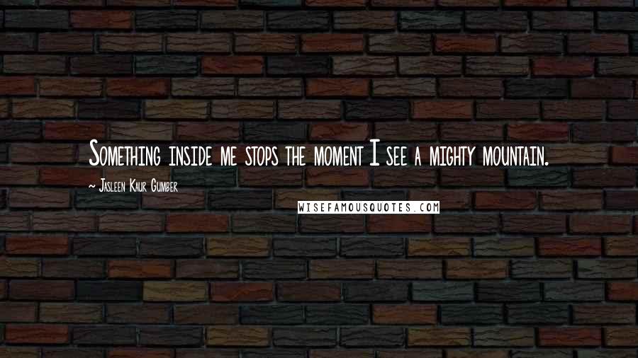 Jasleen Kaur Gumber Quotes: Something inside me stops the moment I see a mighty mountain.