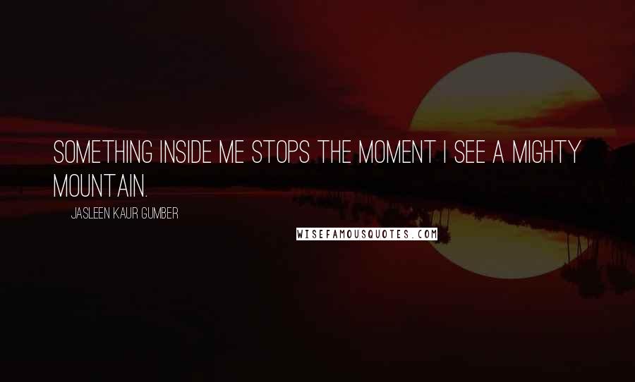 Jasleen Kaur Gumber Quotes: Something inside me stops the moment I see a mighty mountain.