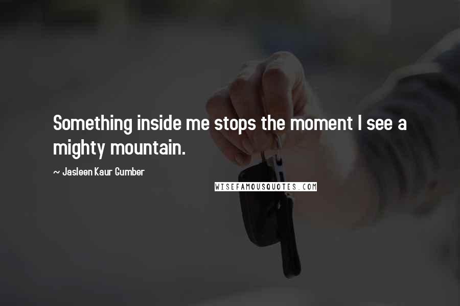 Jasleen Kaur Gumber Quotes: Something inside me stops the moment I see a mighty mountain.