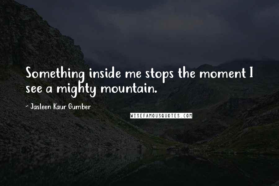 Jasleen Kaur Gumber Quotes: Something inside me stops the moment I see a mighty mountain.