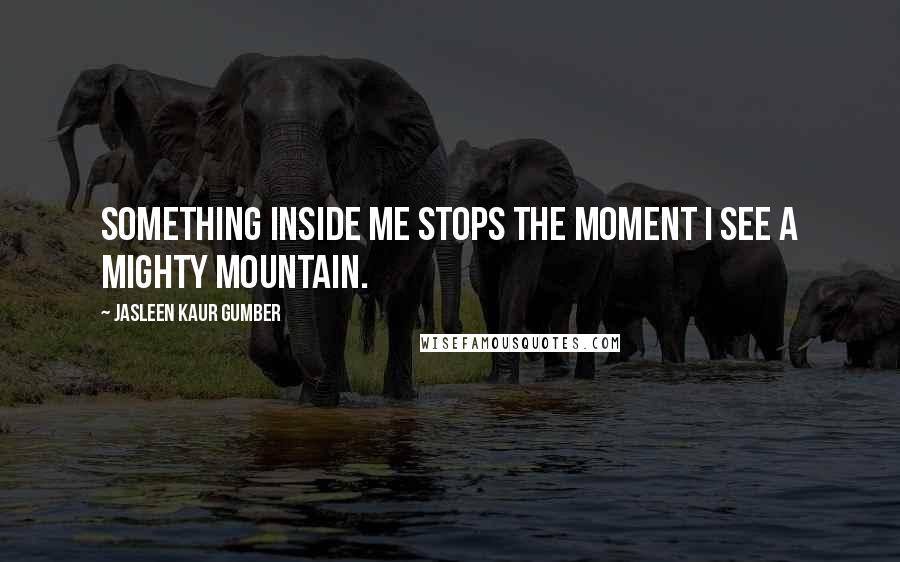 Jasleen Kaur Gumber Quotes: Something inside me stops the moment I see a mighty mountain.